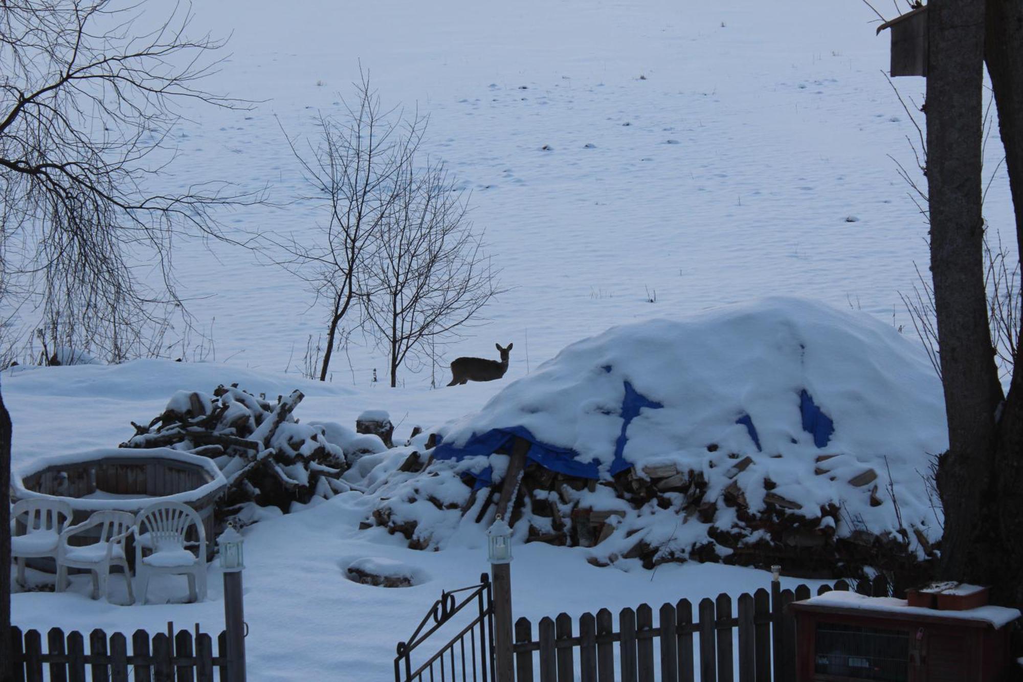 Affaeren Ma Bra Bed and Breakfast Sunne Buitenkant foto