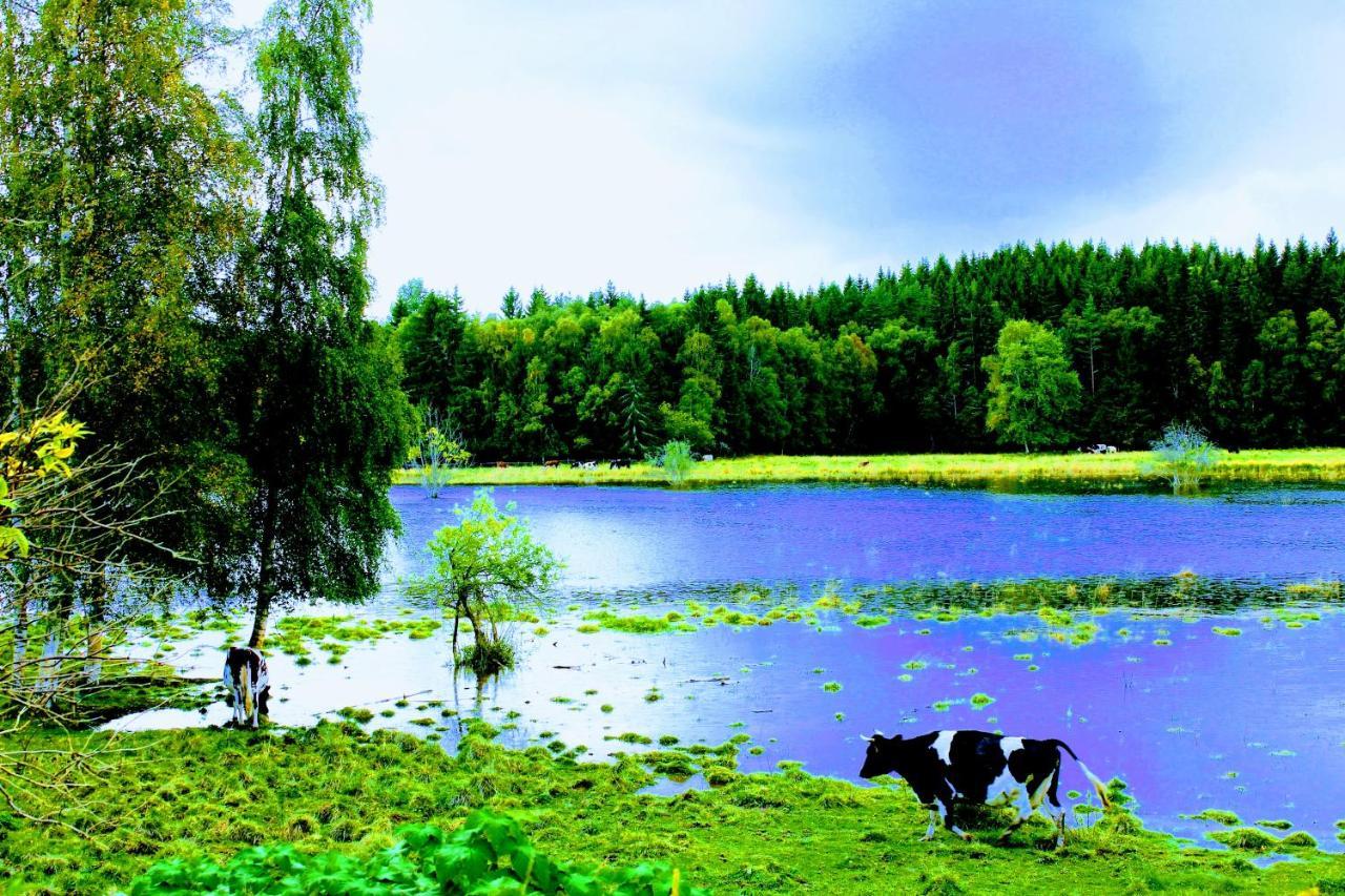 Affaeren Ma Bra Bed and Breakfast Sunne Buitenkant foto